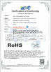 La Cina Wenling Songlong Electromechanical Co., Ltd. Certificazioni